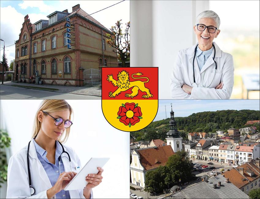 Nowe Miasto Lubawskie - cennik prywatnych wizyt u pediatry - sprawdź ceny w lokalnych przychodniach lekarskich