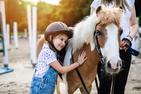 Cena nauki jazdy konnej na lonży w 160 miastach w Polsce